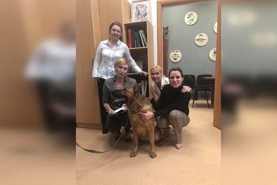 Анна Терешкова выложила фото с собакой, которая проверяла мэрию на предмет взрывчатки.