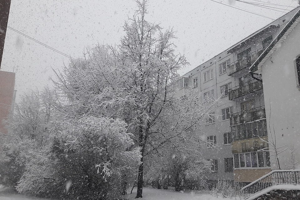 На Псков обрушился циклон, который принес обильный снегопад.