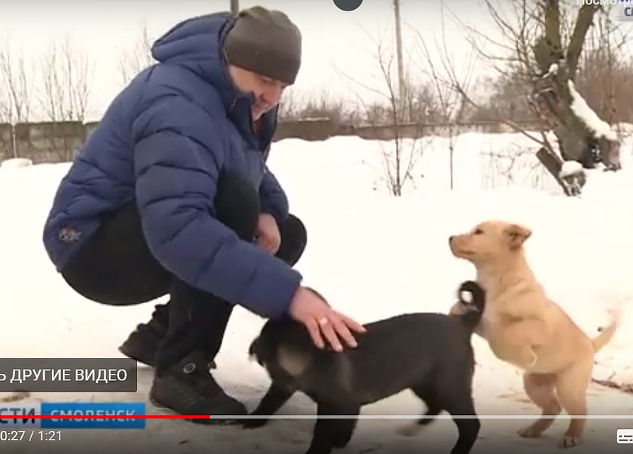 ФОТО: скриншот видео ГТРК «Смоленск».