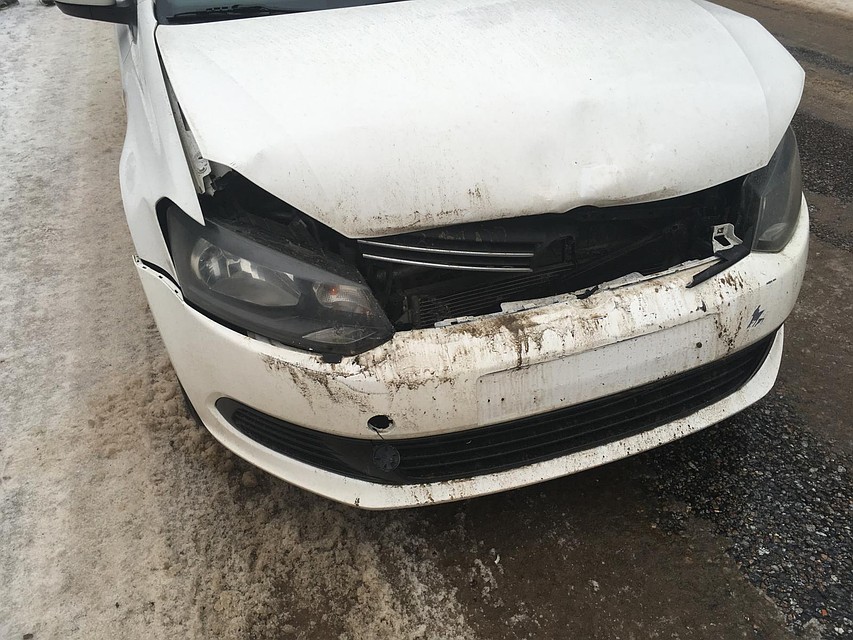 На дороге столкнулись два немецких автомобиля Фото: УГИБДД России по Тверской области