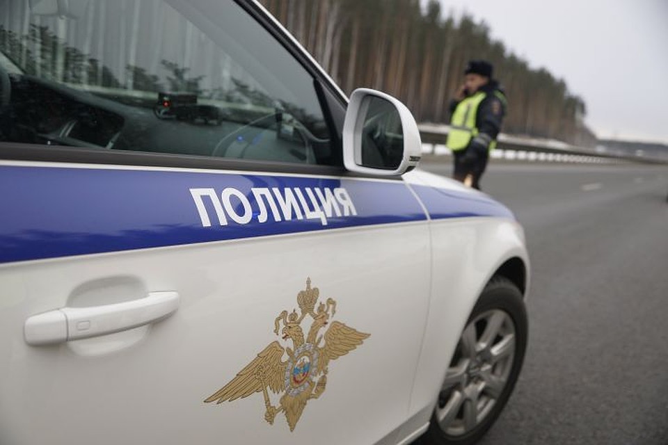 Похитителя поймали сотрудники ГИБДД.