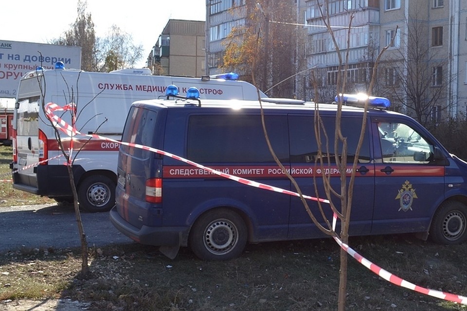 Началась доследственная проверка