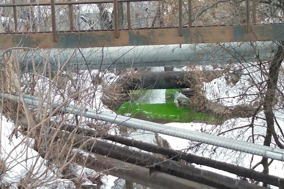 Фото Виталий Орлов