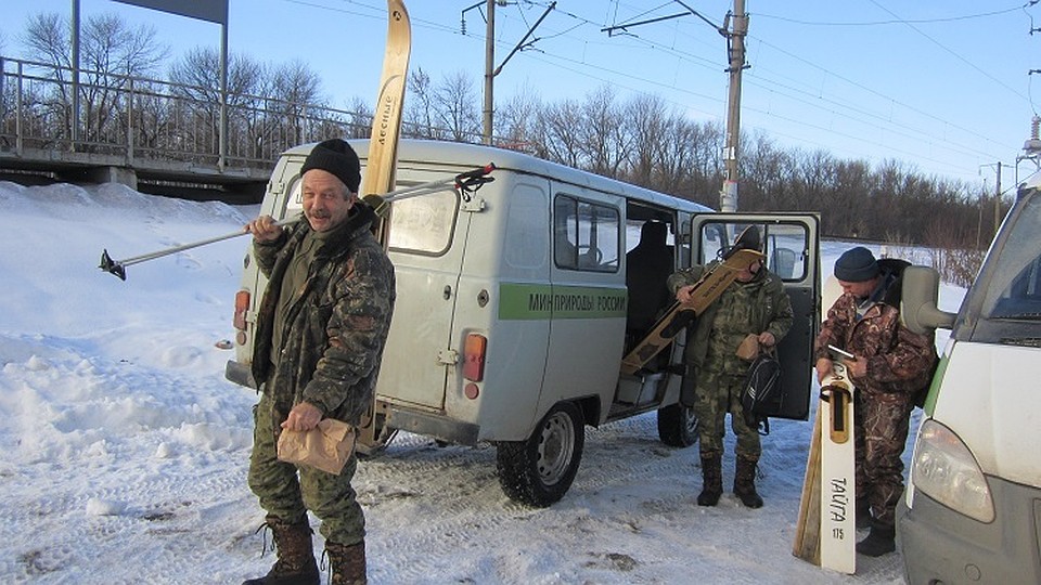 фото с сайта Воронежского заповедника им. В.М.Пескова