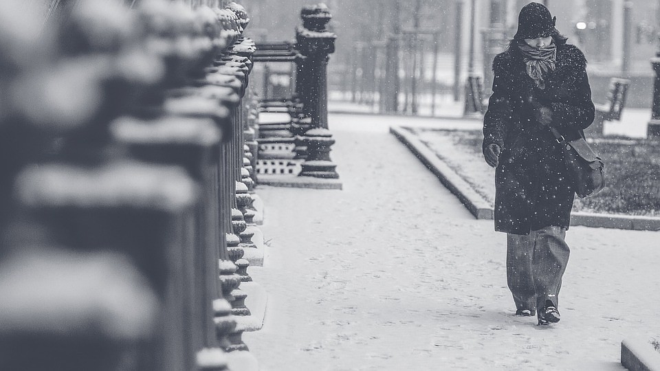 ФОТО: pixabay.com