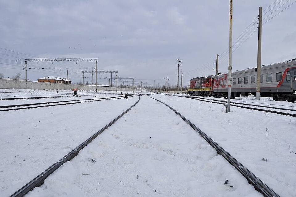 Фото: Алена Селезнева