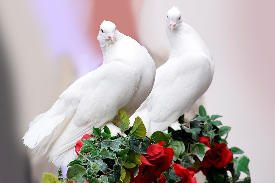 Фото pixabay.com