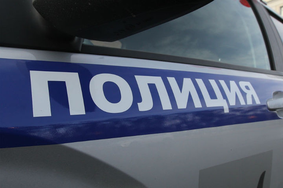 Охотились на зайца: в Усолье задержали двух браконьеров