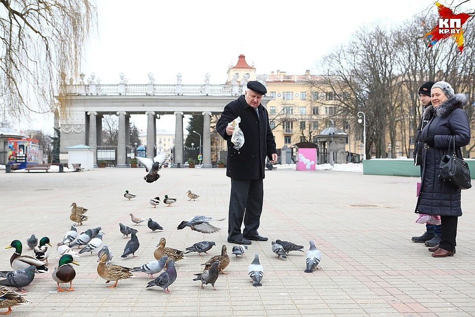 Фото носит иллюстративный характер.