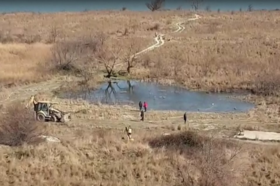 ФОТО: Скриншот видео