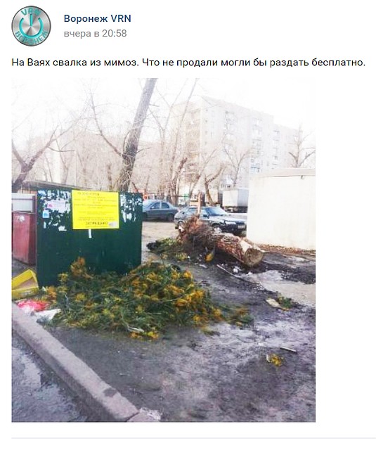 Фото: скриншот соцсети.