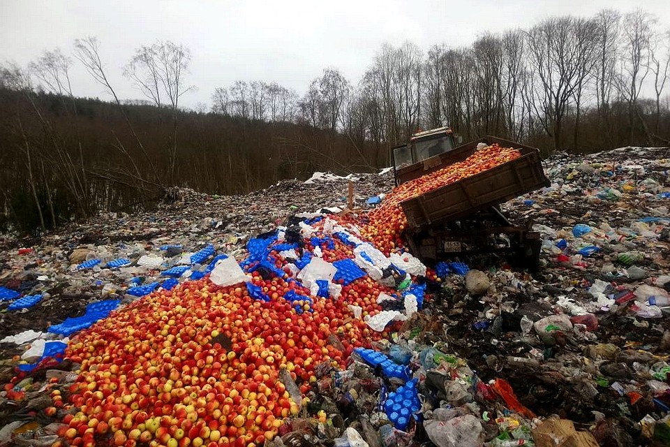 Продукция без фитосанитарных документов является потенциально опасной, поэтому ее не могут передать в какие-либо учреждения.
