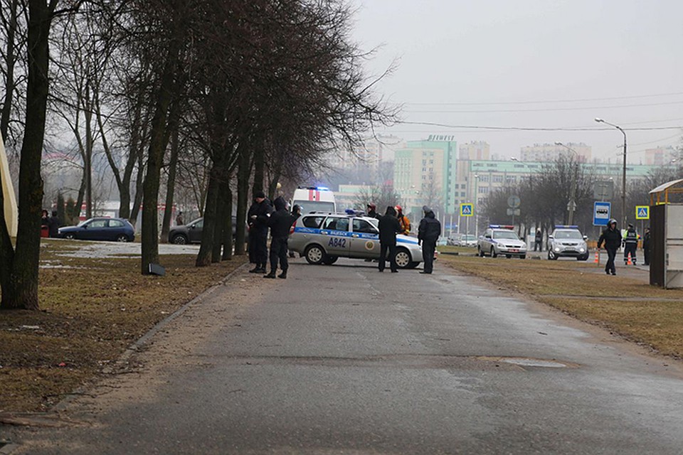 Утром в Витебске нашли гранату в кустах. Фото: УВД.