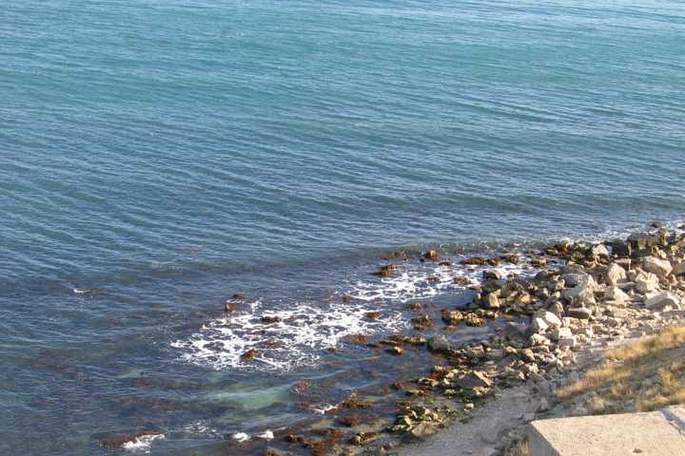 Красноярские дети поедут на море по дешевым билетам!