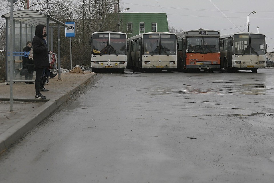 В Псковской области 22 марта прогнозируют усиление ветра.