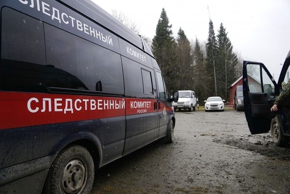 Подозреваемый организовал преступную схему