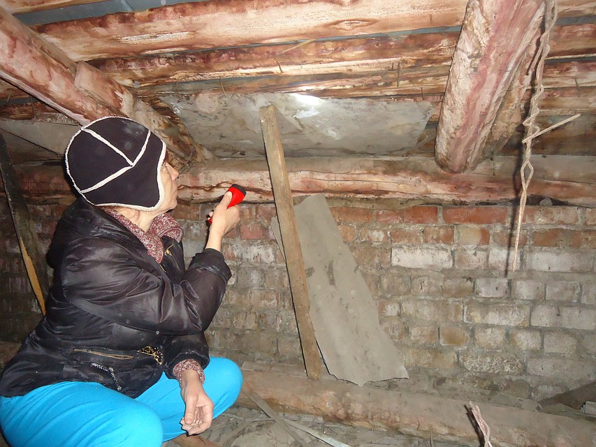 фото читателей