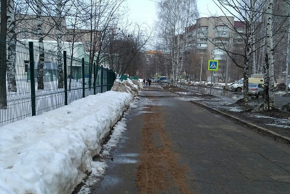 Фото: Ольга Головизнина