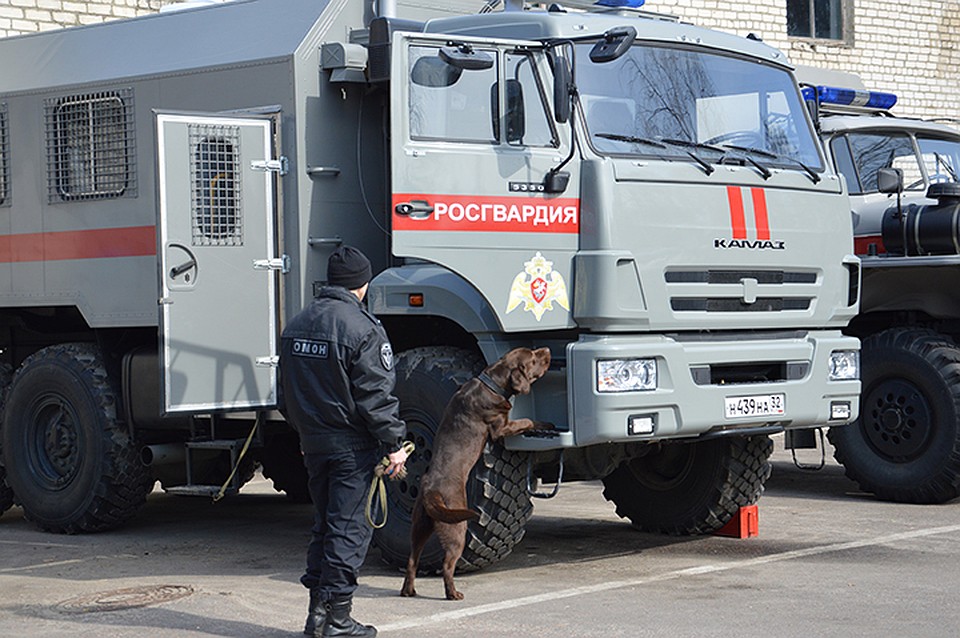 Фото: пресс-служба Управления Росгвардии по Брянской области.