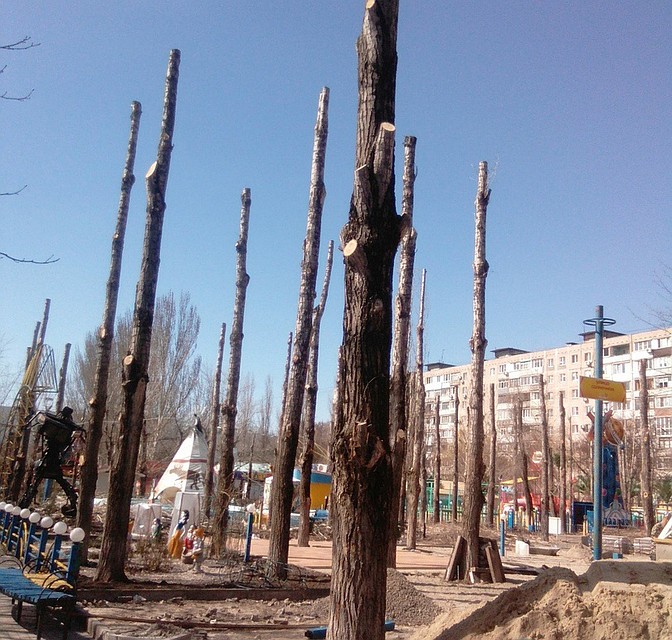 Фото из группы ВК "Ростов Главный".