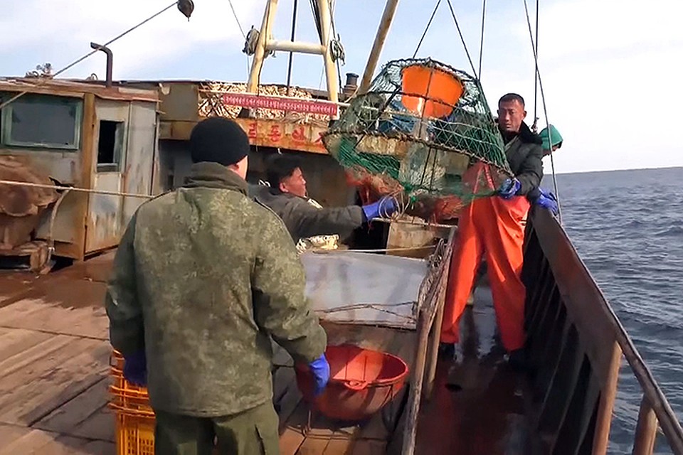 3195 экземпляров живого краба выпущено в естественную среду обитания