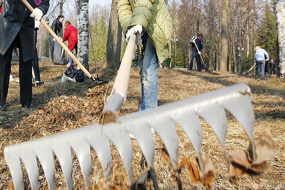 Всем желающим поучаствовать в субботниках выдадут грабли, перчатки и мешки