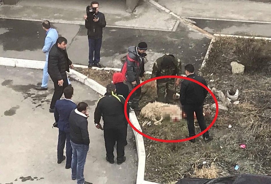 Семья даже наняла оператора, чтобы тот снял жертвоприношение на видео.