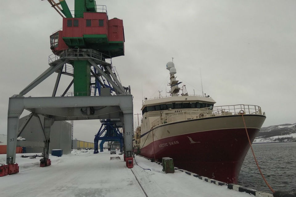 Arctic Swan с 27 марта стоял у причала рыбного порта в Мурманске. Фото: twitter.com/PressMMRP