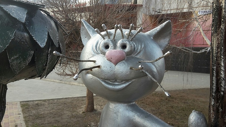 Василий лишился одного из шести усов