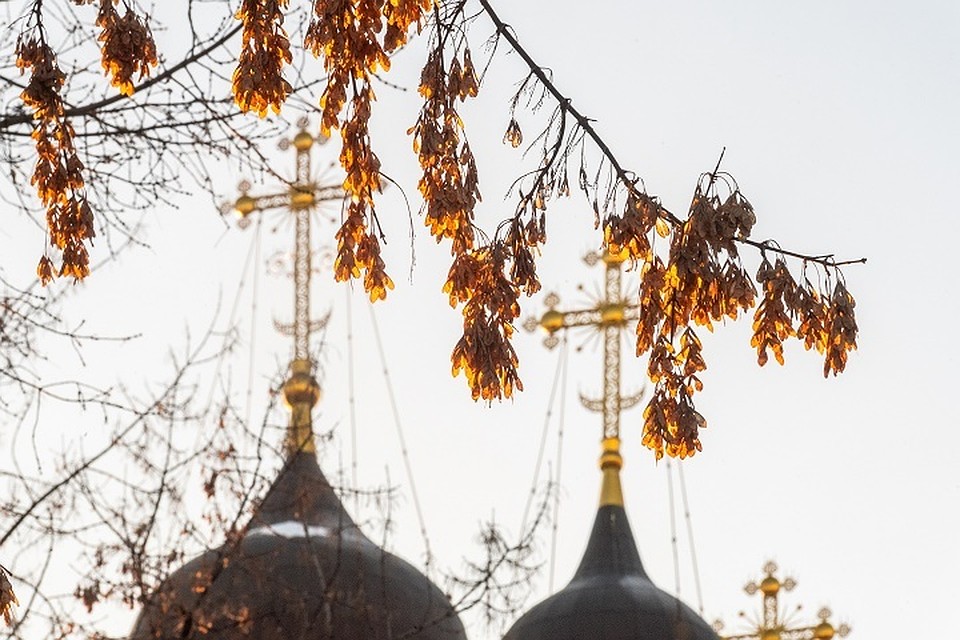 Фото: Михаил Фролов