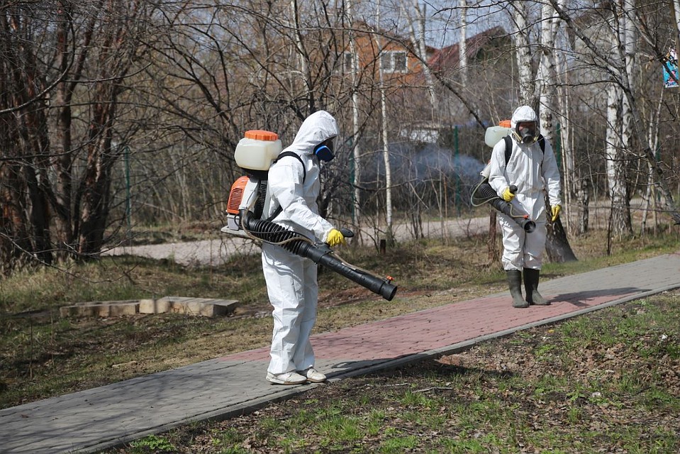 В Самаре уже активизировались клещи