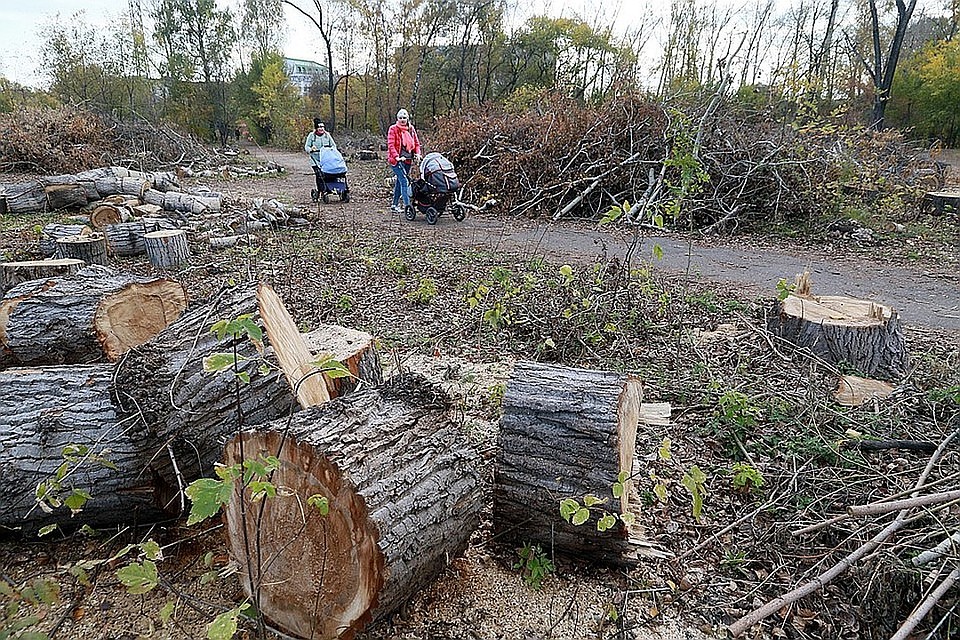 Ущерб от содеянного оценили более чем в 15 млн рублей