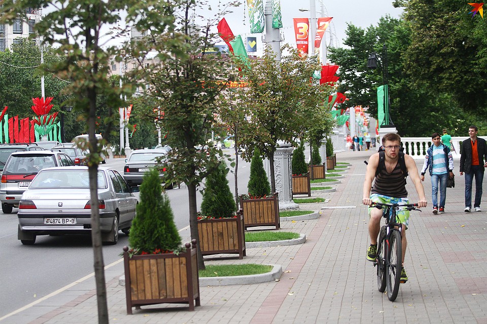 С 2019 в столице уже высадили 25 тыс. деревьев и 40 тыс. кустарников