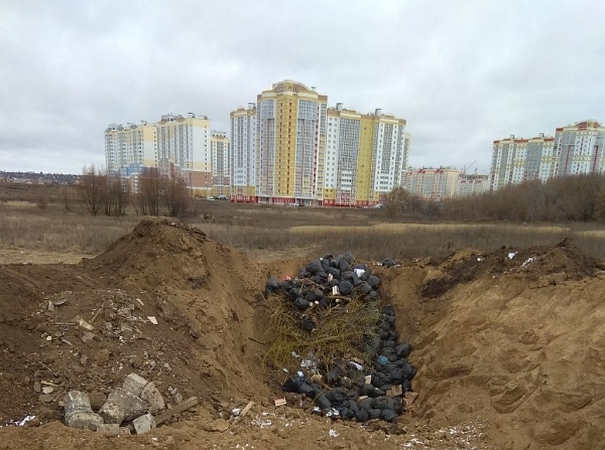 Фото с сайта ОНФ