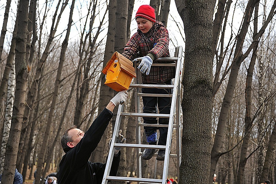 Температура воздуха в столице поднимется до +12