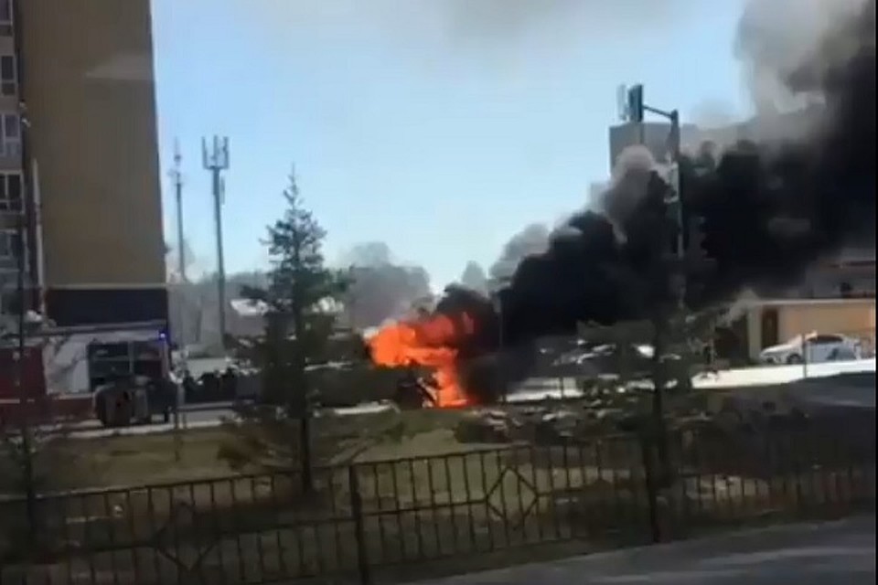 Фото: скриншот с видео