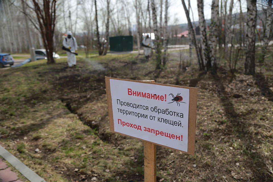 Осторожно, клещи