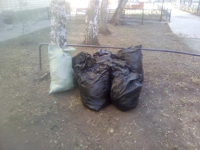 Тюменцев приглашают на весенний субботник