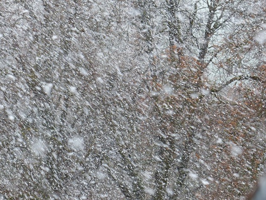 Погода в Югре 16 апреля: снег, метель и сильный ветер. Фото с сайта pixabay.com