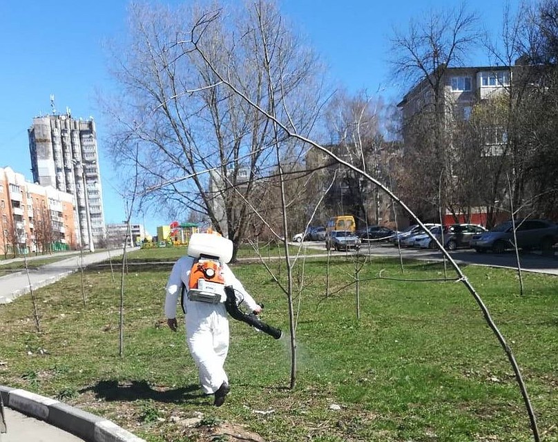 Фото: Администрация Тулы