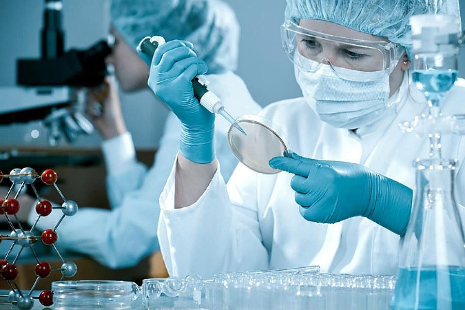 По всему миру от вызванных устойчивыми к антибиотикам бактериями инфекций погибают более 700 тысяч человек ежегодно.