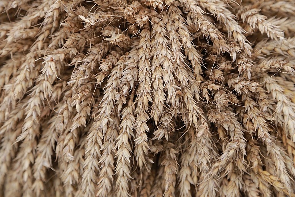 ФОТО: Мария ЛЕНЦ