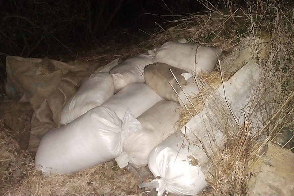 Мешки с удобрениями были спрятаны недалеко от склада в лесу. Фото: УВД Могилевского облисполкома.