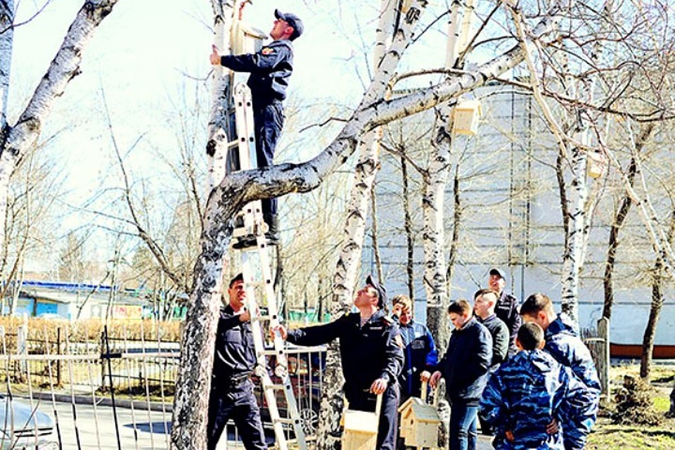 В Кемерове силовики взяли под охрану скворечники. ФОТО: пресс-служба управления Росгвардии России по Кемеровской области.
