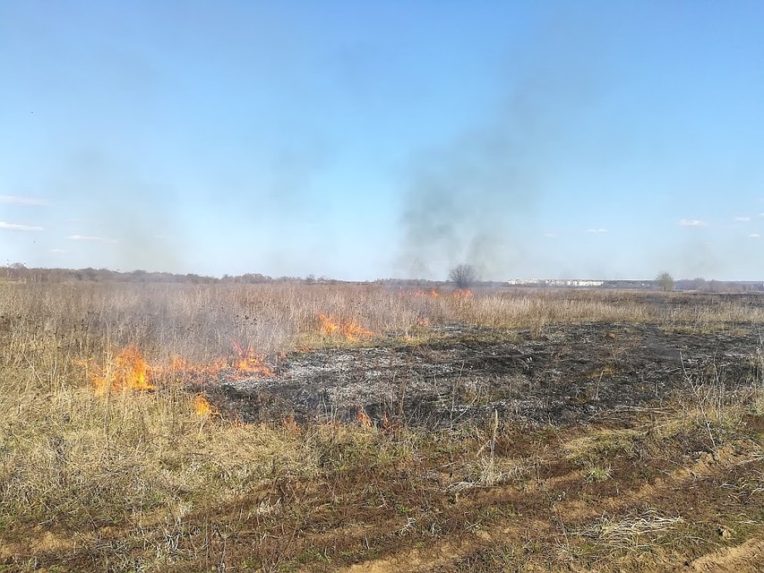 Площадь, на которой горела сухая трава и все живое в ней, составила 20 гектаров.