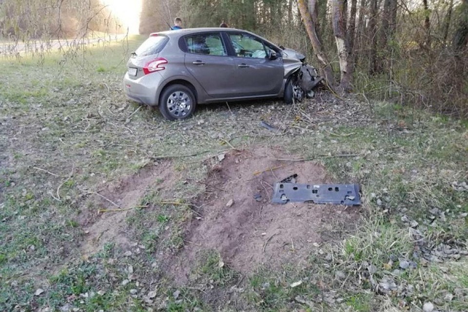 Машина за пределами трассы врезалась в дерево. Фото: ГАИ УВД Брестского облисполкома.