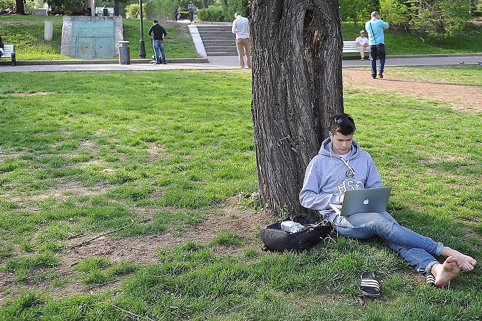 Популярность городского Wi-Fi в парках выросла в два раза