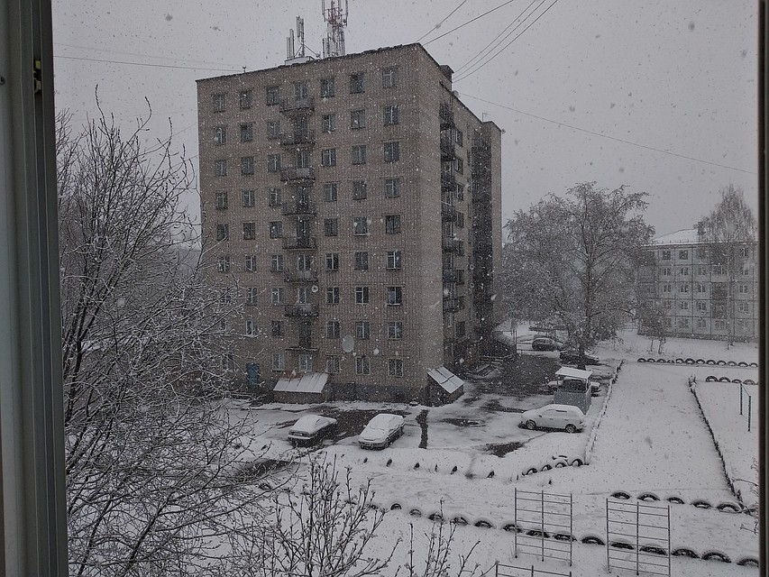Фото: Екатерина Ардашева