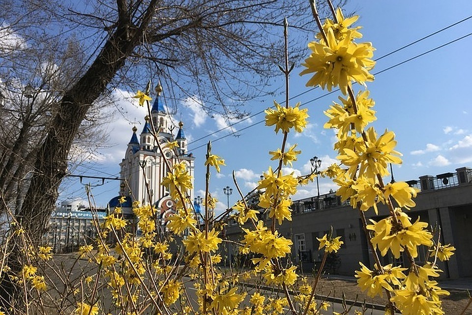 Погода в Хабаровске на 4 мая 2019 года: днем до +21, без осадков