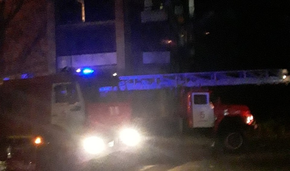 Мужчины жарили шашлык, а дождались на огонек пожарных